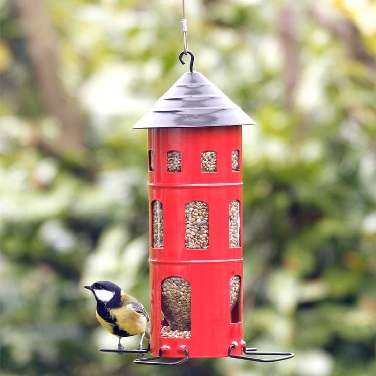 come possiamo aiutare gli uccelli selvatici che visitano il nostro giardino durante l'inverno