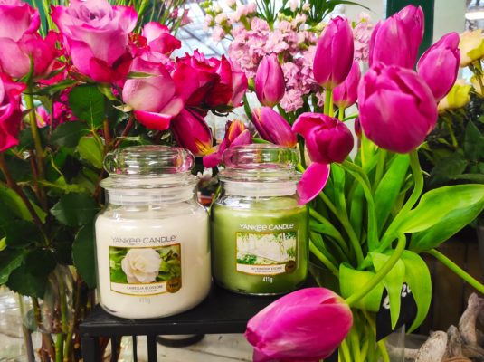 yankee candle offerta maggio fasoli piante