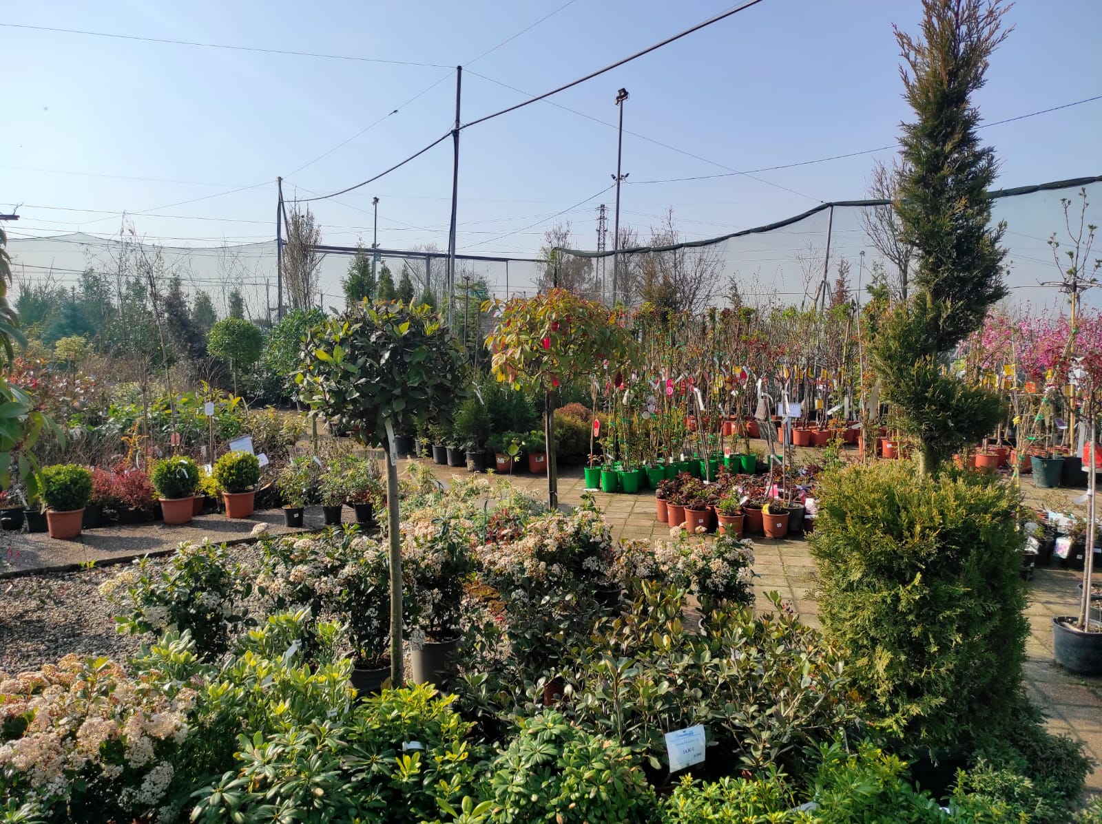 giardino terapeutico piante e fiori