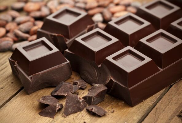 la fabbrica di cioccolato evento speciale a febbraio da Fasoli Piante