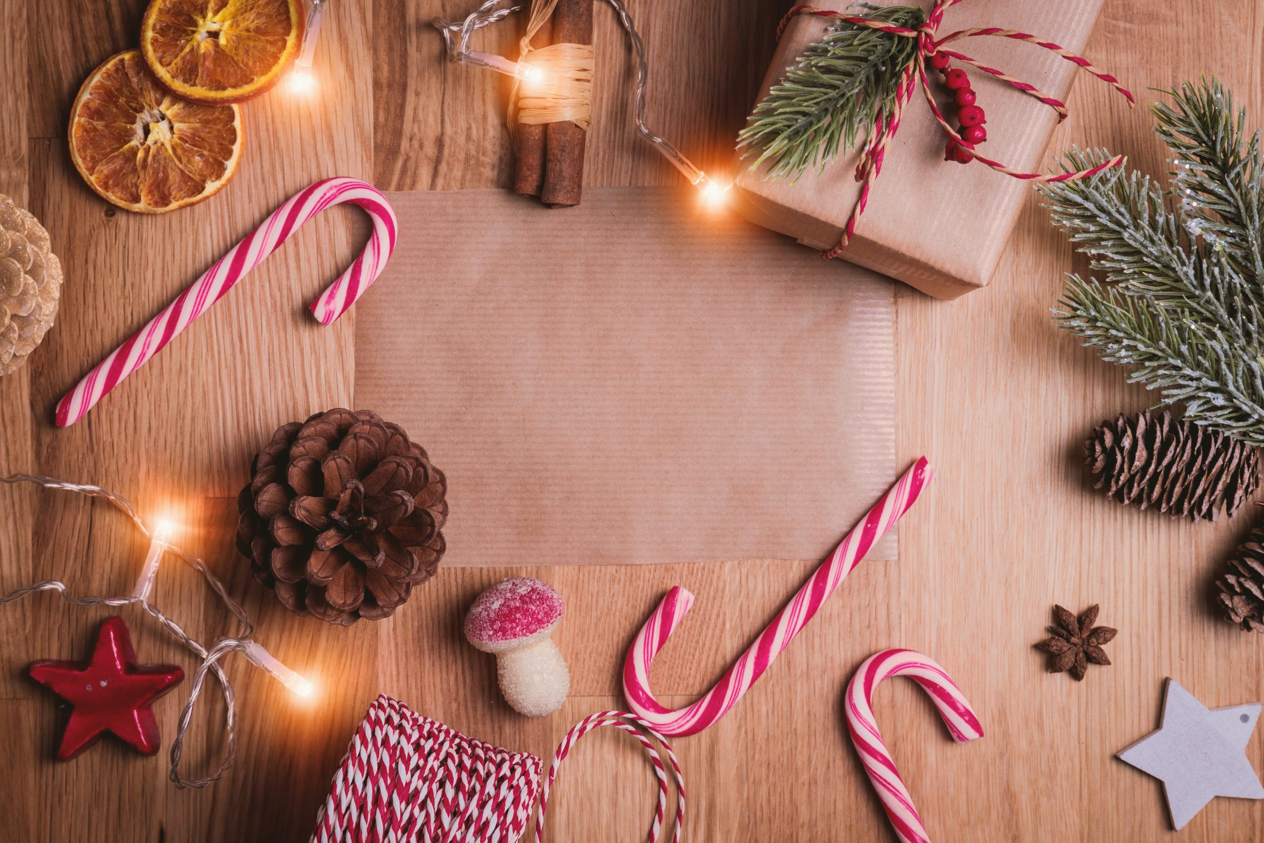 idee regalo natale da fasoli piante