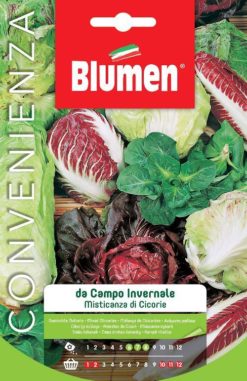 SEMENTI MISTICANZA CICORIA DA CAMPO INVERNALE