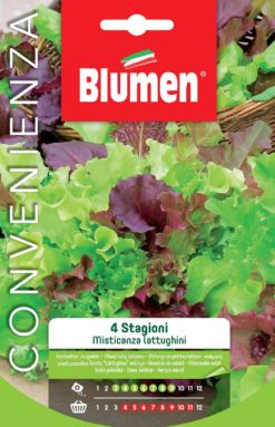 SEMENTI MISTICANZA LATTUGHINI 4 STAGIONI