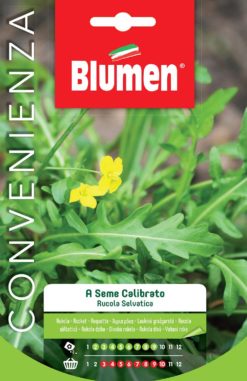 SEMENTI RUCOLA SELVATICA SEME CALIBRATO