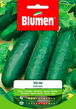 SEMENTI CETRIOLO VERDE