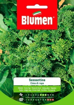SEMENTI CIMA DI RAPA SESSANTINA