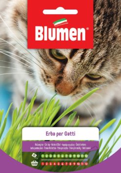 SEMENTI ERBA PER GATTI