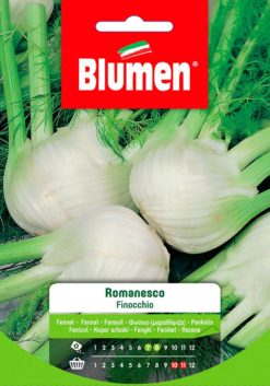 SEMENTI FINOCCHIO ROMANESCO