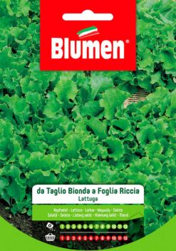 SEMENTI LATTUGA TAGLIO BIONDA FOGLIA RICCIA