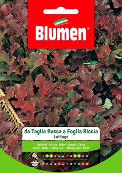 SEMENTI LATTUGA TAGLIO ROSSA FOGLIA RICCIA