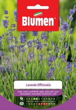 SEMENTI LAVANDA OFFICINALIS