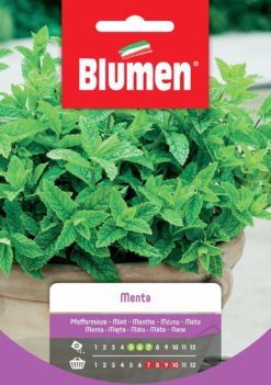 SEMENTI MENTA