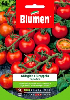 SEMENTI POMODORO CILIEGINO A GRAPPOLO