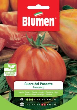 SEMENTI POMODORO CUORE DEL PONENTE
