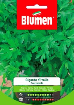 SEMENTI PREZZEMOLO GIGANTE D'ITALIA
