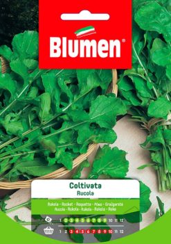 SEMENTI RUCOLA COLTIVATA