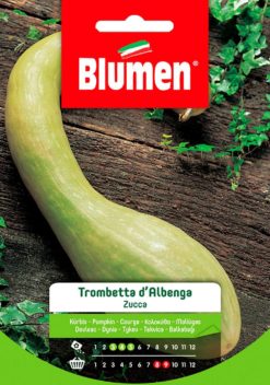 SEMENTI ZUCCA TROMBETTA D'ALBENGA