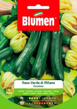 SEMENTI ZUCCHINO NANO VERDE DI MILANO
