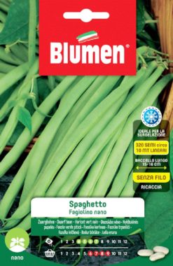 SEMENTI FAGIOLINO NANO SPAGHETTO