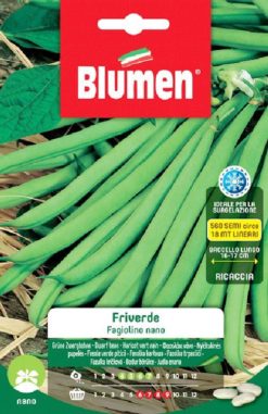 SEMENTI FAGIOLINO NANO FRIVERDE