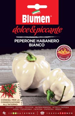 SEMENTI PEPERONE HABANERO BIANCO