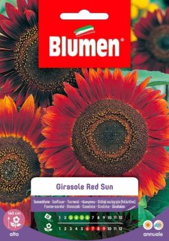 SEMENTI GIRASOLE RED SUN