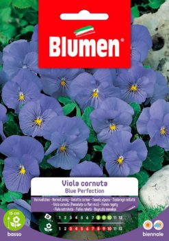 SEMENTI VIOLA CORNUTA BLUE PERFECTION