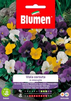 SEMENTI VIOLA CORNUTA IN MISCUGLIO
