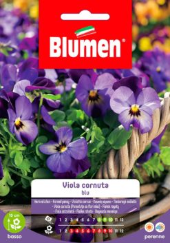 SEMENTI VIOLA CORNUTA BLU