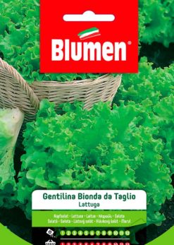 SEMENTI LATTUGA GENTILINA BIONDA DA TAGLIO