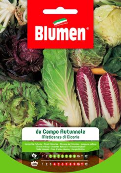 SEMENTI MISTICANZA CICORIE CAMPO AUTUNNALE