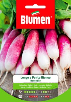 SEMENTI RAVANELLO LUNGO A PUNTA BIANCA