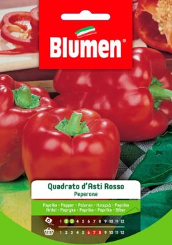SEMENTI PEPERONE QUADRATO D'ASTI ROSSO