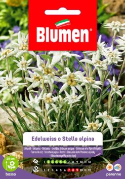 SEMENTI EDELWEISS O STELLA ALPINA