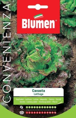 SEMENTI LATTUGA CANASTA