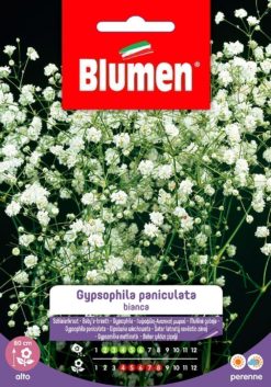 SEMENTI GYPSOPHILA PANICULATA BIANCA