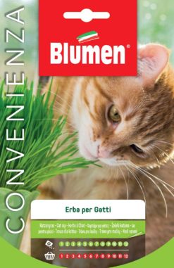 SEMENTI ERBA PER GATTI