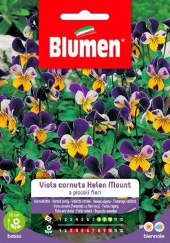VIOLA CORNUTA HELEN MOUNT A PICCOLI FIORI