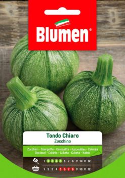 ZUCCHINO TONDO CHIARO  EV OR.