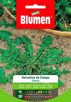 SEMENTI CICORIA SELVATICA DA CAMPO