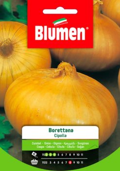 SEMENTI CIPOLLA BORETTANA