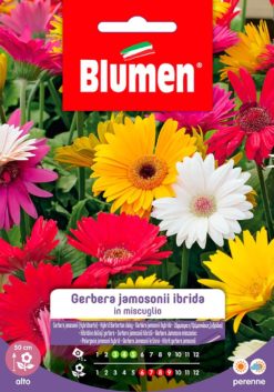 SEMENTI GERRBERA JAMOSONII IBRIDA