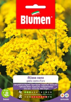 SEMENTI ALISSO GIALLO CESTO D'ORO