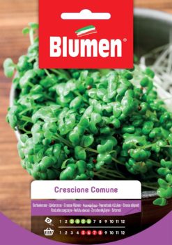 SEMENTI CRESCIONE COMUNE