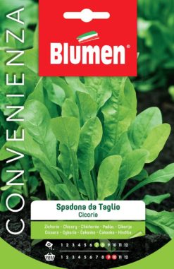 SEMENTI CICORIA SPADONA DA TAGLIO
