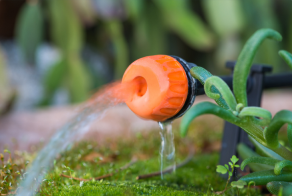 microirrigazione e irrigazione goccia a goccia fasoli piante come fare