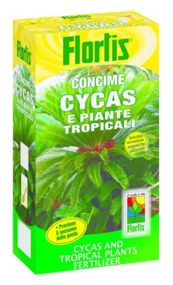 CONCIME CYCAS PALME KG. 1