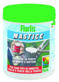 MASTICE 500 G
