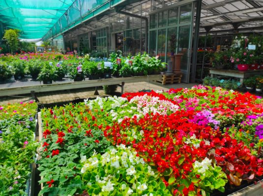 risparmiare acqua 10 idee