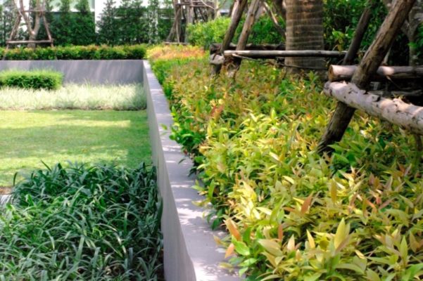 giardino condominiale approfittare del bonus verde 2022